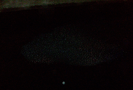 常夜灯の下には小魚の大群