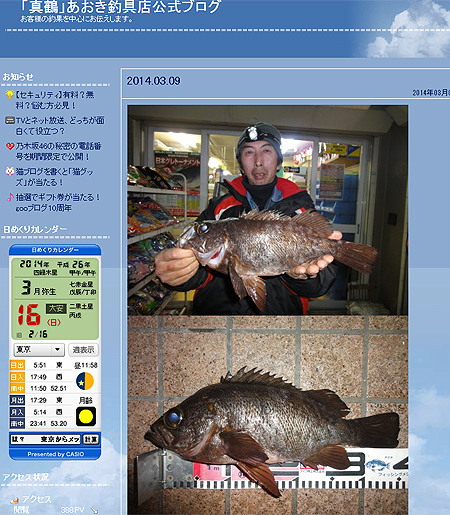 あおき釣具店のブログに掲載された37cm＆800gというモンスター級のメバル
