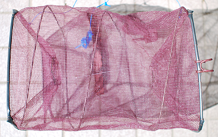 タカミヤの魚キラーの全形とフック