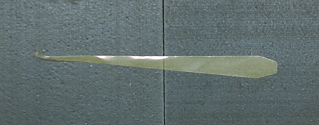 ハリミツのエサ板カット ミカンの全形およびカラー