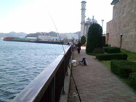 横須賀追浜・アイクル横護岸で釣り座を構えた場所