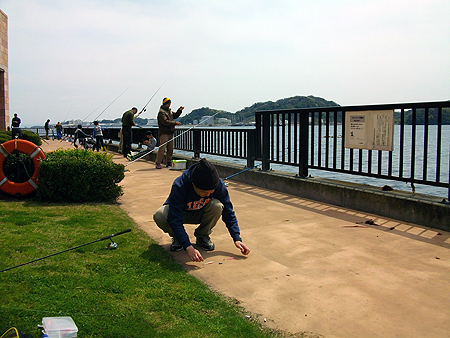 釣り座を構えた横須賀追浜・アイクル横護岸のポイント